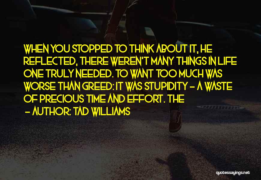 Tad Williams Quotes: When You Stopped To Think About It, He Reflected, There Weren't Many Things In Life One Truly Needed. To Want