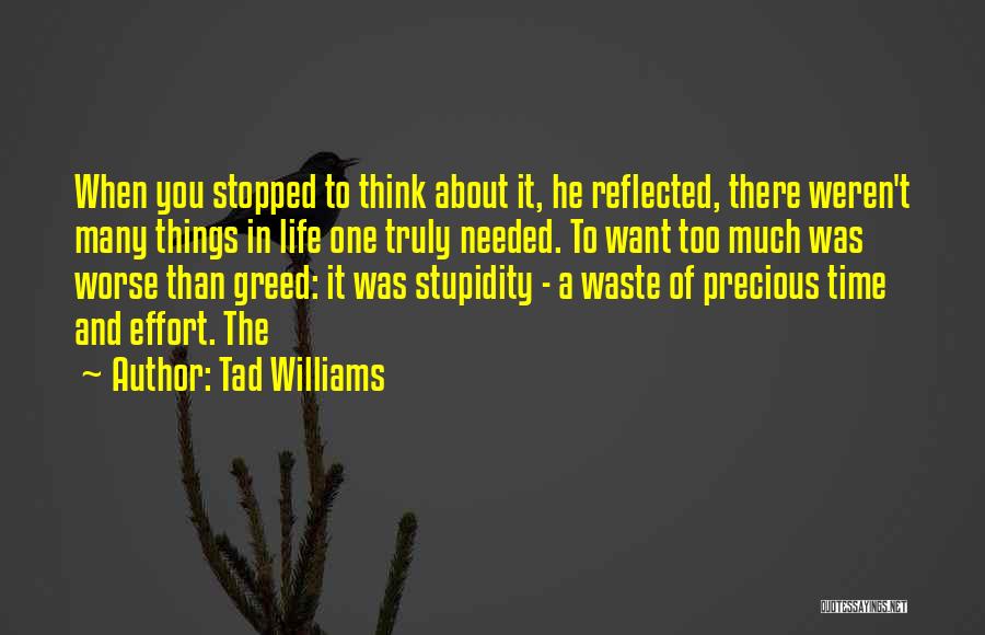 Tad Williams Quotes: When You Stopped To Think About It, He Reflected, There Weren't Many Things In Life One Truly Needed. To Want