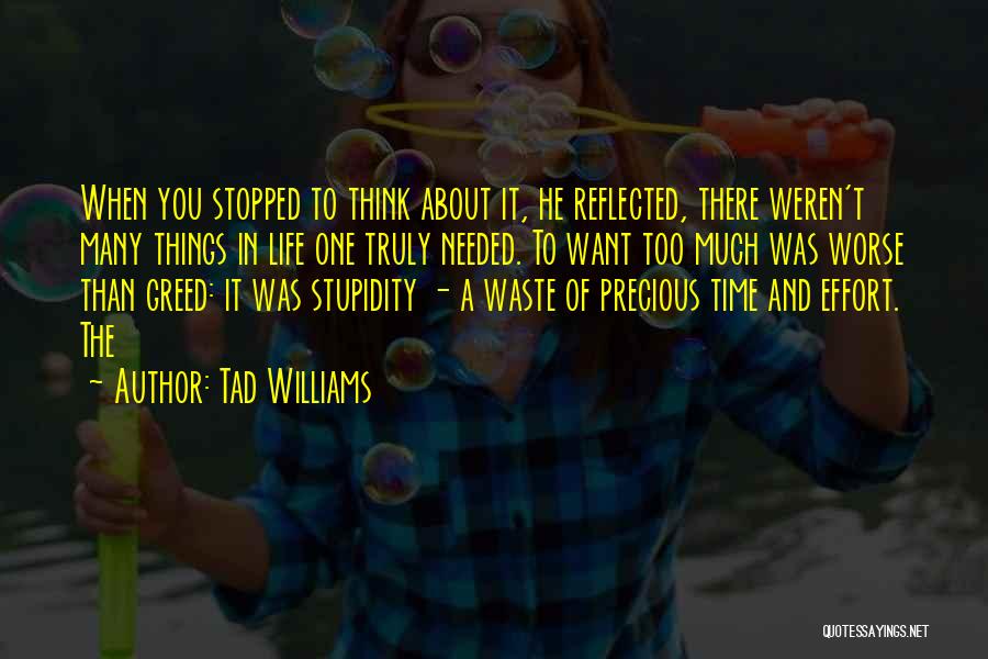 Tad Williams Quotes: When You Stopped To Think About It, He Reflected, There Weren't Many Things In Life One Truly Needed. To Want