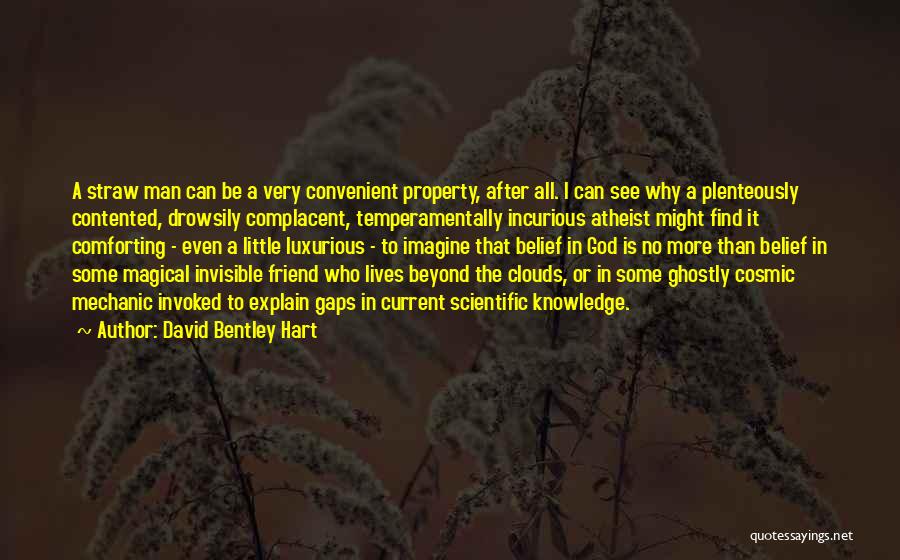 David Bentley Hart Quotes: A Straw Man Can Be A Very Convenient Property, After All. I Can See Why A Plenteously Contented, Drowsily Complacent,