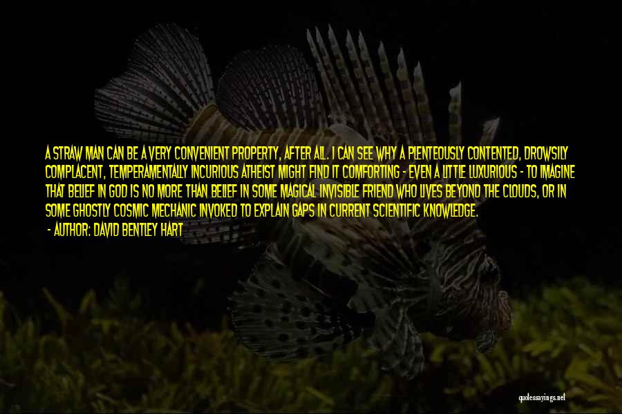 David Bentley Hart Quotes: A Straw Man Can Be A Very Convenient Property, After All. I Can See Why A Plenteously Contented, Drowsily Complacent,