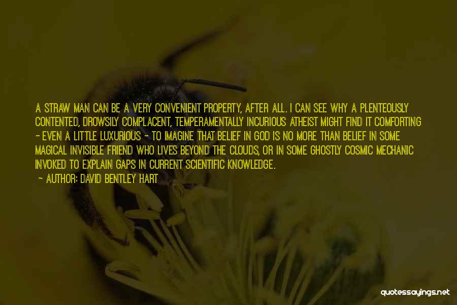 David Bentley Hart Quotes: A Straw Man Can Be A Very Convenient Property, After All. I Can See Why A Plenteously Contented, Drowsily Complacent,