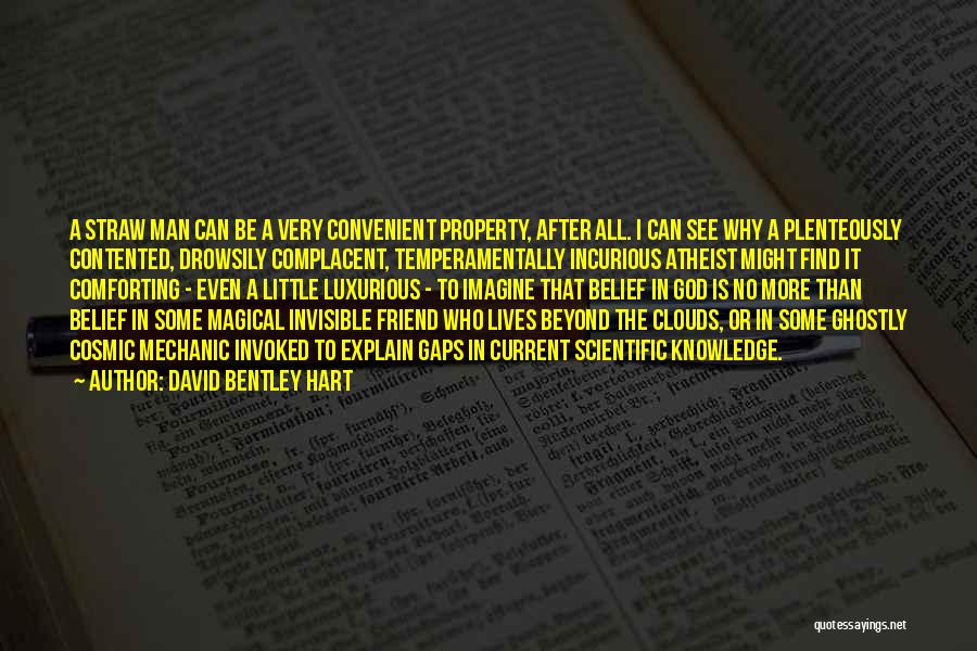 David Bentley Hart Quotes: A Straw Man Can Be A Very Convenient Property, After All. I Can See Why A Plenteously Contented, Drowsily Complacent,