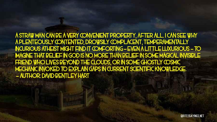 David Bentley Hart Quotes: A Straw Man Can Be A Very Convenient Property, After All. I Can See Why A Plenteously Contented, Drowsily Complacent,