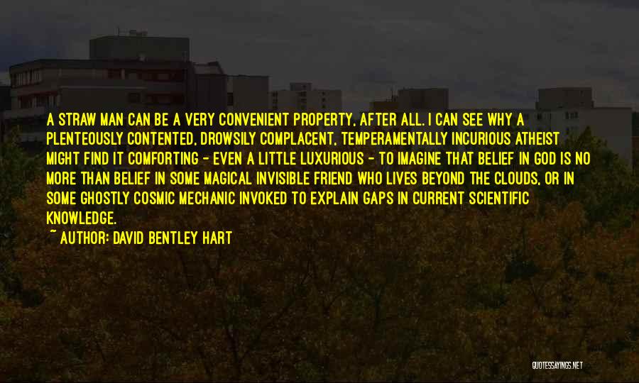 David Bentley Hart Quotes: A Straw Man Can Be A Very Convenient Property, After All. I Can See Why A Plenteously Contented, Drowsily Complacent,