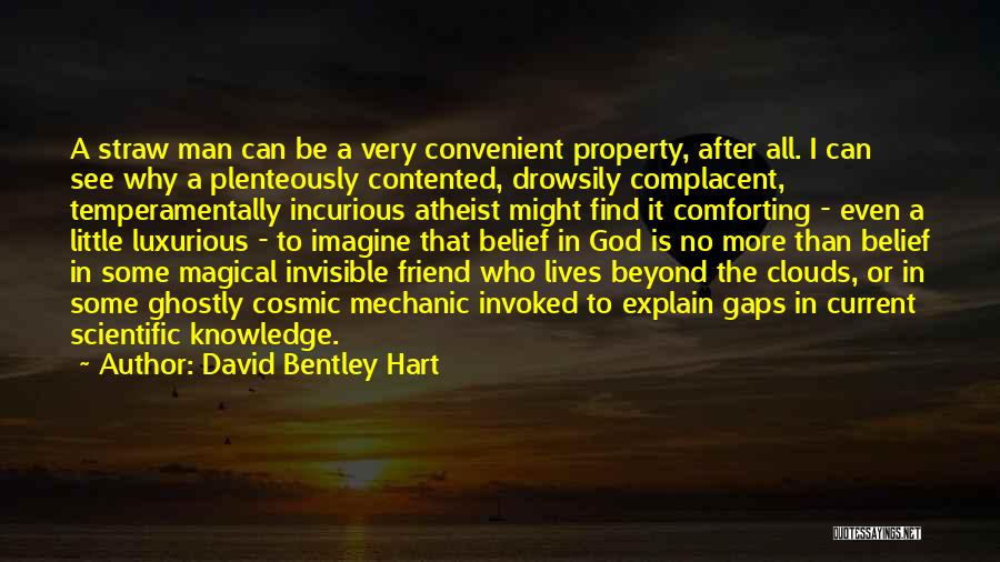 David Bentley Hart Quotes: A Straw Man Can Be A Very Convenient Property, After All. I Can See Why A Plenteously Contented, Drowsily Complacent,