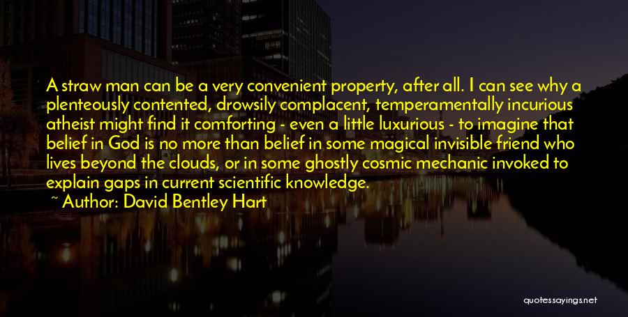 David Bentley Hart Quotes: A Straw Man Can Be A Very Convenient Property, After All. I Can See Why A Plenteously Contented, Drowsily Complacent,