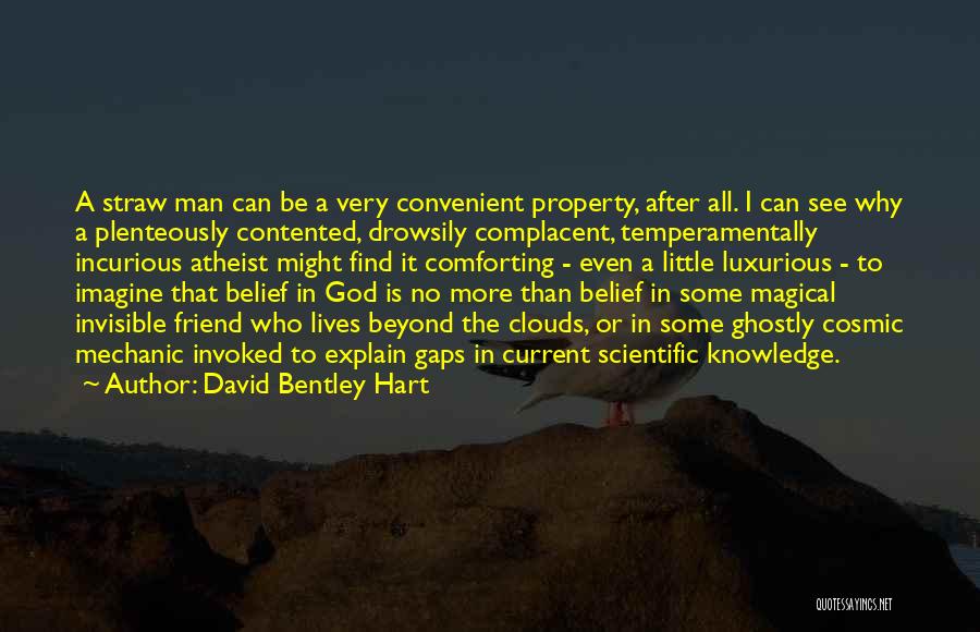 David Bentley Hart Quotes: A Straw Man Can Be A Very Convenient Property, After All. I Can See Why A Plenteously Contented, Drowsily Complacent,