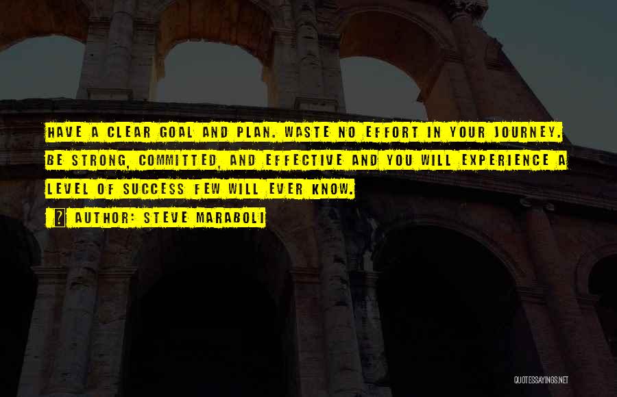 Steve Maraboli Quotes: Have A Clear Goal And Plan. Waste No Effort In Your Journey. Be Strong, Committed, And Effective And You Will