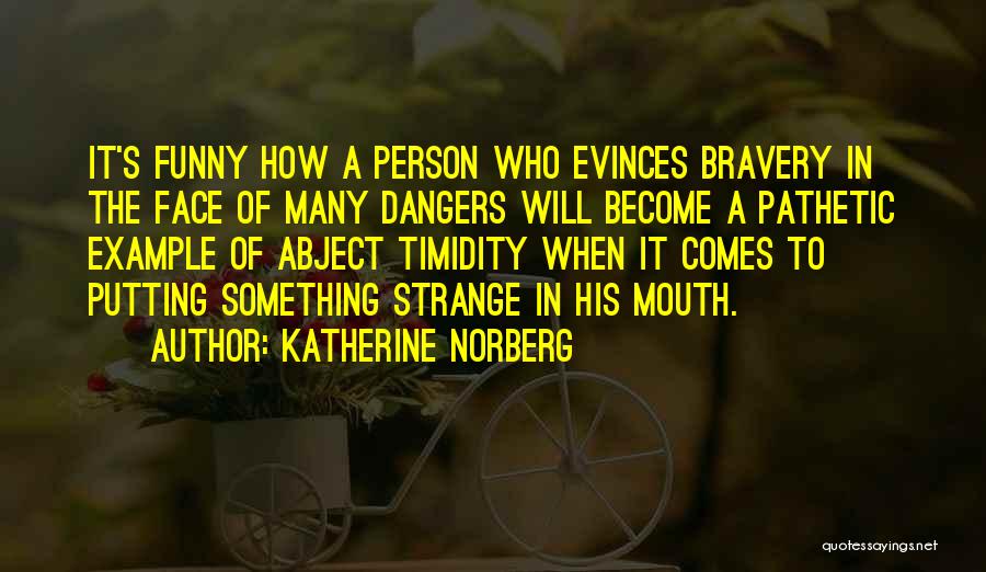 Katherine Norberg Quotes: It's Funny How A Person Who Evinces Bravery In The Face Of Many Dangers Will Become A Pathetic Example Of