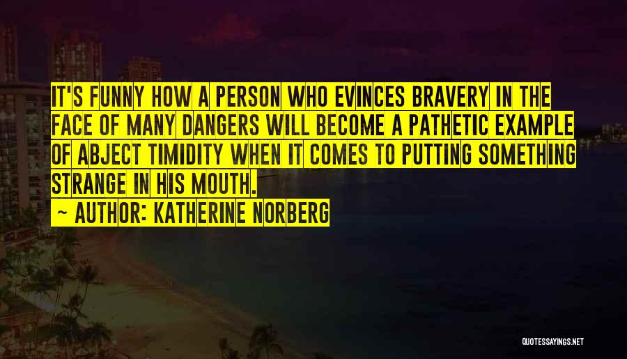 Katherine Norberg Quotes: It's Funny How A Person Who Evinces Bravery In The Face Of Many Dangers Will Become A Pathetic Example Of