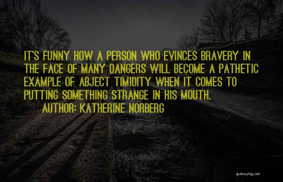 Katherine Norberg Quotes: It's Funny How A Person Who Evinces Bravery In The Face Of Many Dangers Will Become A Pathetic Example Of