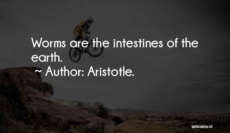 Aristotle. Quotes: Worms Are The Intestines Of The Earth.