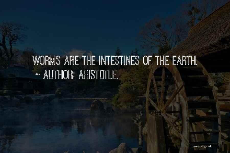 Aristotle. Quotes: Worms Are The Intestines Of The Earth.