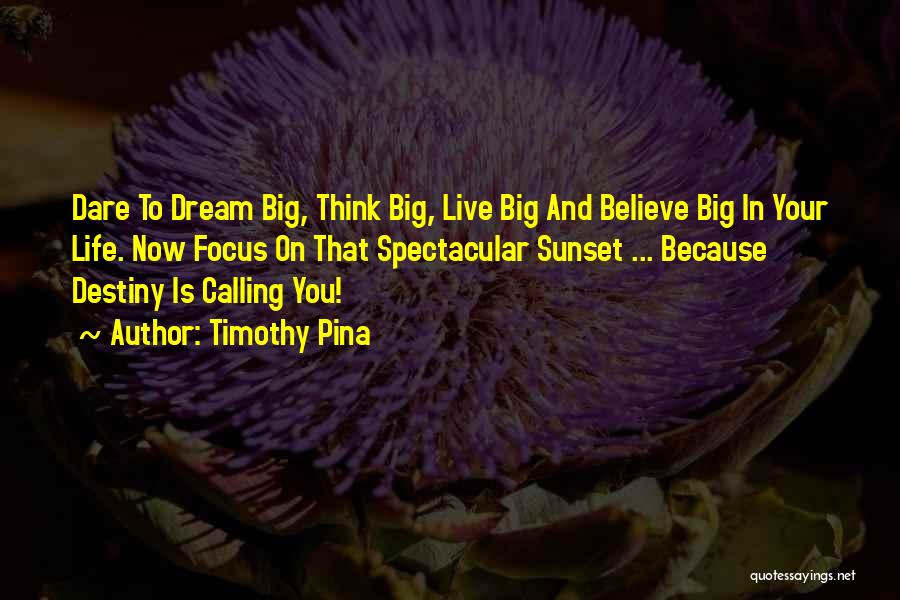 Timothy Pina Quotes: Dare To Dream Big, Think Big, Live Big And Believe Big In Your Life. Now Focus On That Spectacular Sunset