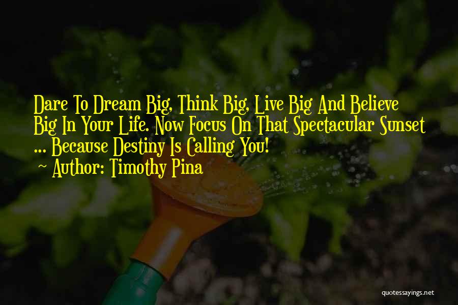 Timothy Pina Quotes: Dare To Dream Big, Think Big, Live Big And Believe Big In Your Life. Now Focus On That Spectacular Sunset