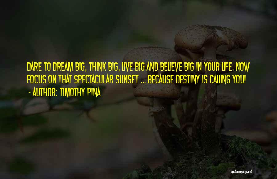 Timothy Pina Quotes: Dare To Dream Big, Think Big, Live Big And Believe Big In Your Life. Now Focus On That Spectacular Sunset