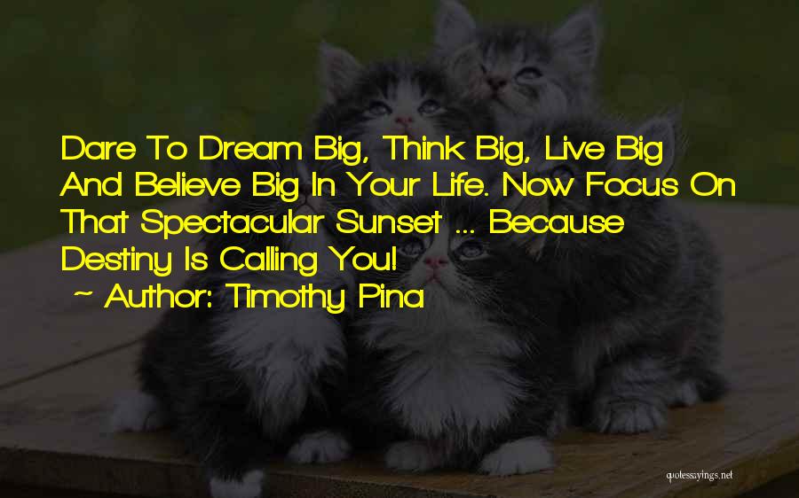 Timothy Pina Quotes: Dare To Dream Big, Think Big, Live Big And Believe Big In Your Life. Now Focus On That Spectacular Sunset