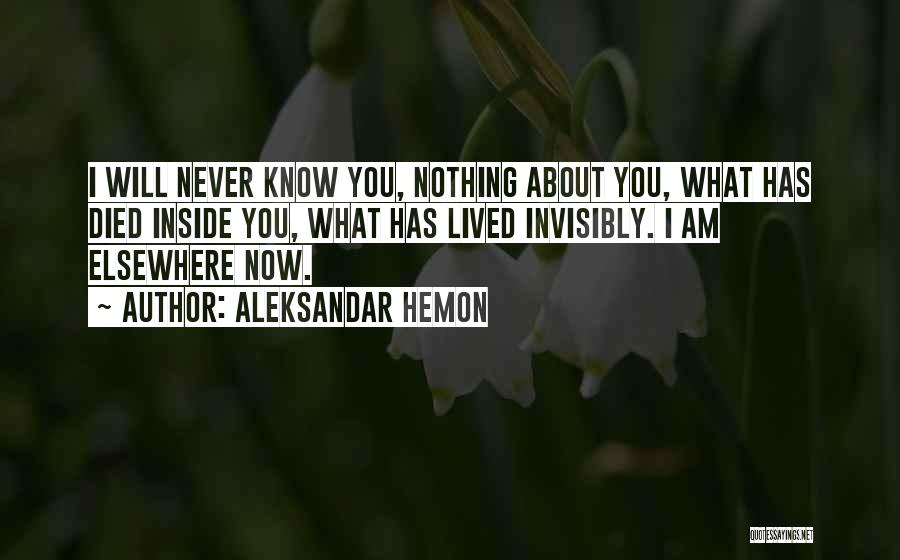 Aleksandar Hemon Quotes: I Will Never Know You, Nothing About You, What Has Died Inside You, What Has Lived Invisibly. I Am Elsewhere