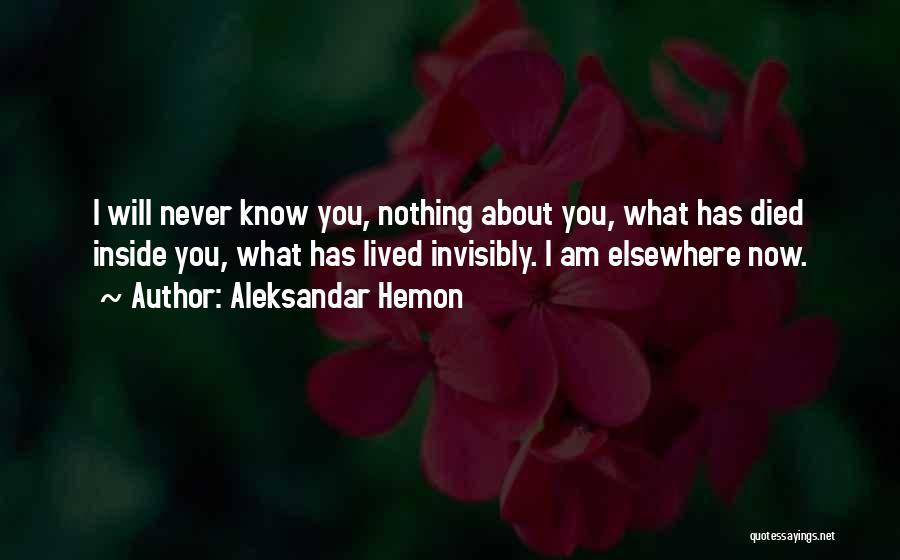 Aleksandar Hemon Quotes: I Will Never Know You, Nothing About You, What Has Died Inside You, What Has Lived Invisibly. I Am Elsewhere