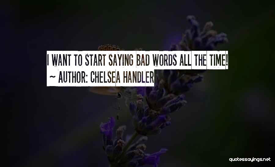 Chelsea Handler Quotes: I Want To Start Saying Bad Words All The Time!