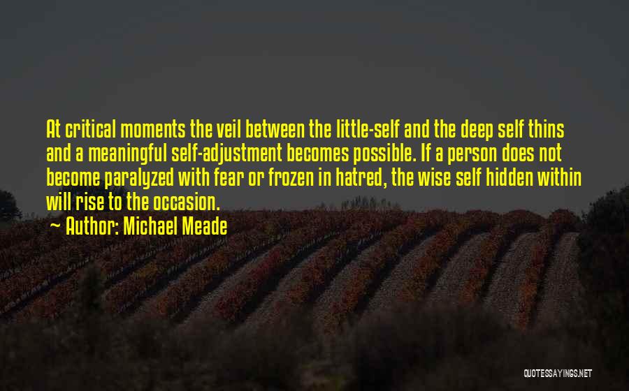 Michael Meade Quotes: At Critical Moments The Veil Between The Little-self And The Deep Self Thins And A Meaningful Self-adjustment Becomes Possible. If