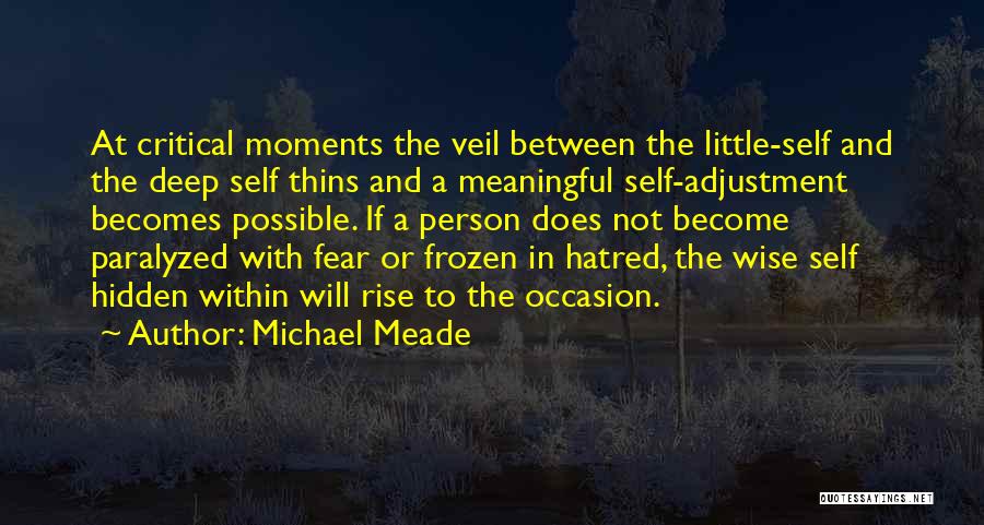 Michael Meade Quotes: At Critical Moments The Veil Between The Little-self And The Deep Self Thins And A Meaningful Self-adjustment Becomes Possible. If