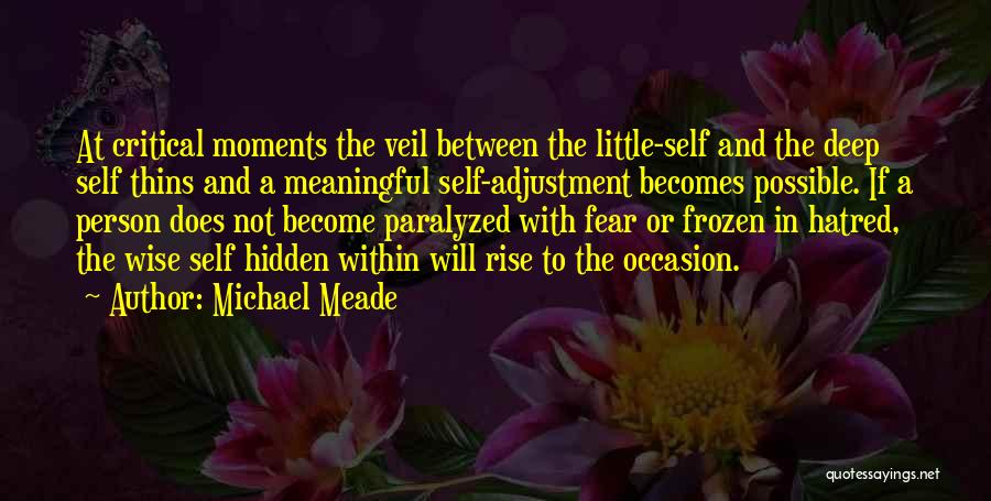 Michael Meade Quotes: At Critical Moments The Veil Between The Little-self And The Deep Self Thins And A Meaningful Self-adjustment Becomes Possible. If