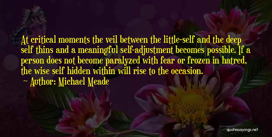 Michael Meade Quotes: At Critical Moments The Veil Between The Little-self And The Deep Self Thins And A Meaningful Self-adjustment Becomes Possible. If