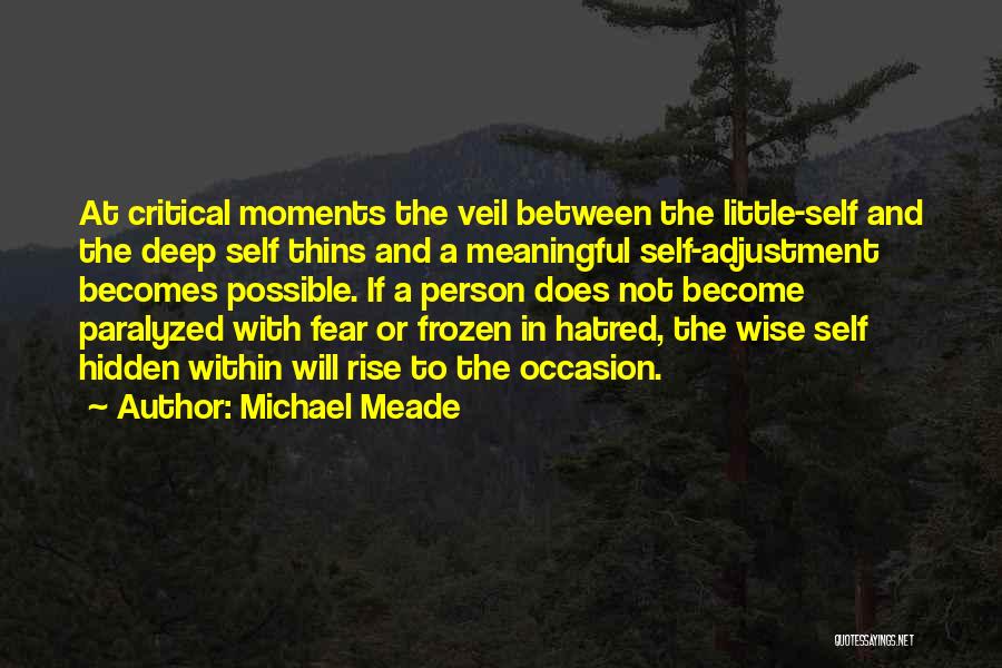 Michael Meade Quotes: At Critical Moments The Veil Between The Little-self And The Deep Self Thins And A Meaningful Self-adjustment Becomes Possible. If