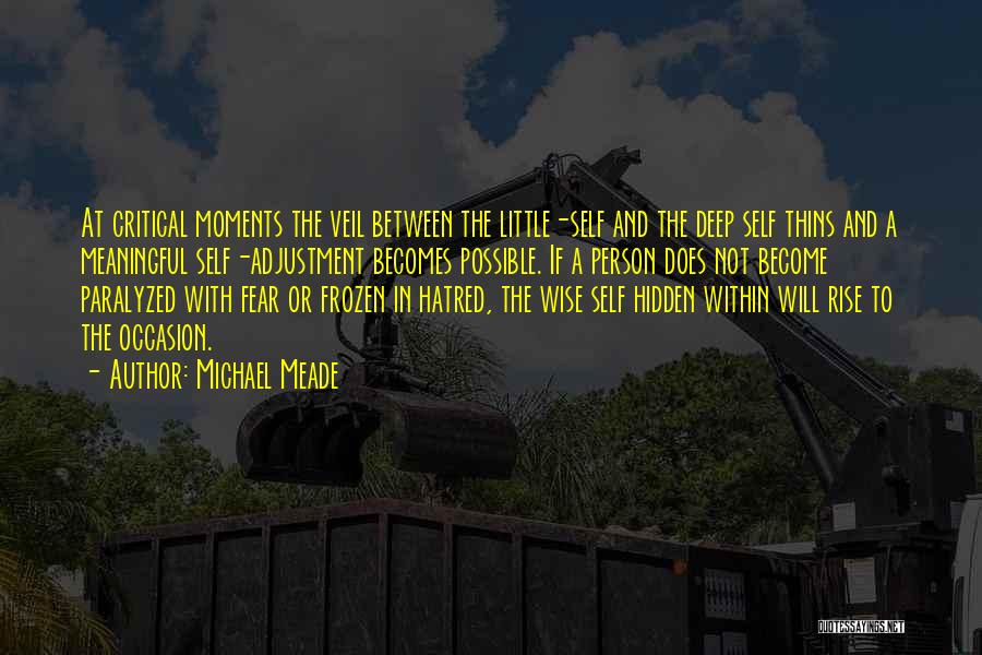 Michael Meade Quotes: At Critical Moments The Veil Between The Little-self And The Deep Self Thins And A Meaningful Self-adjustment Becomes Possible. If