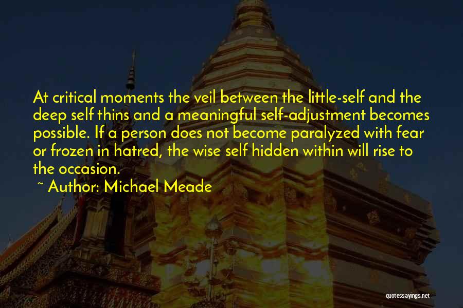 Michael Meade Quotes: At Critical Moments The Veil Between The Little-self And The Deep Self Thins And A Meaningful Self-adjustment Becomes Possible. If