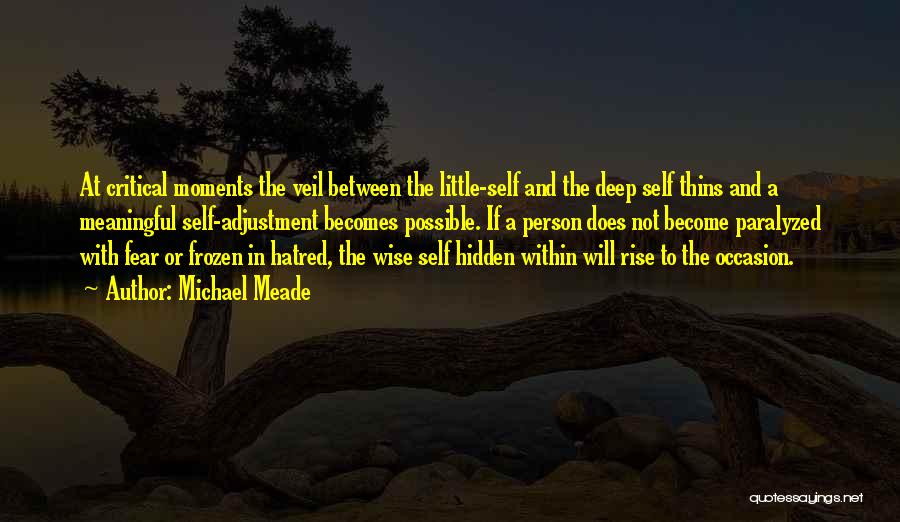 Michael Meade Quotes: At Critical Moments The Veil Between The Little-self And The Deep Self Thins And A Meaningful Self-adjustment Becomes Possible. If