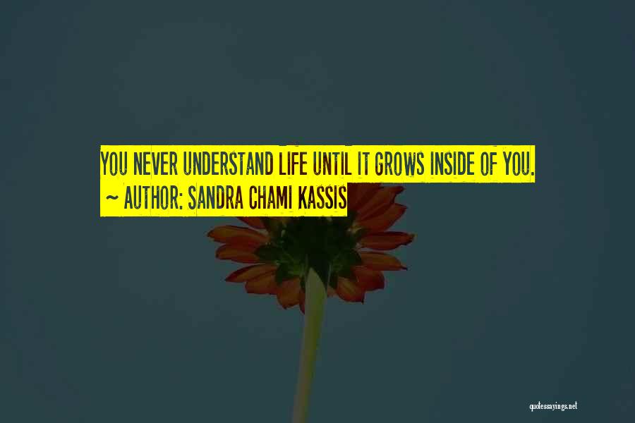 Sandra Chami Kassis Quotes: You Never Understand Life Until It Grows Inside Of You.
