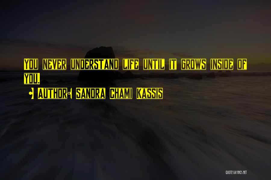Sandra Chami Kassis Quotes: You Never Understand Life Until It Grows Inside Of You.