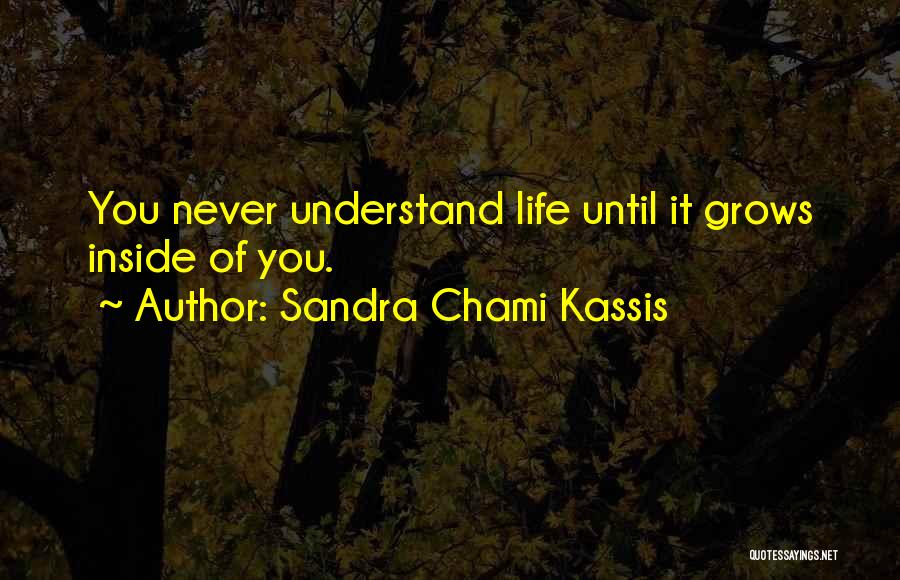 Sandra Chami Kassis Quotes: You Never Understand Life Until It Grows Inside Of You.