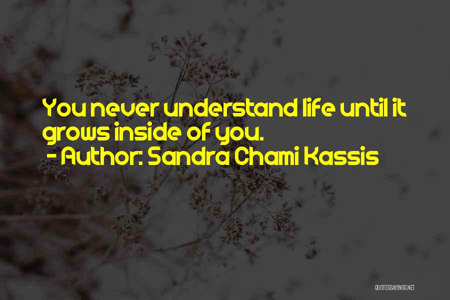 Sandra Chami Kassis Quotes: You Never Understand Life Until It Grows Inside Of You.