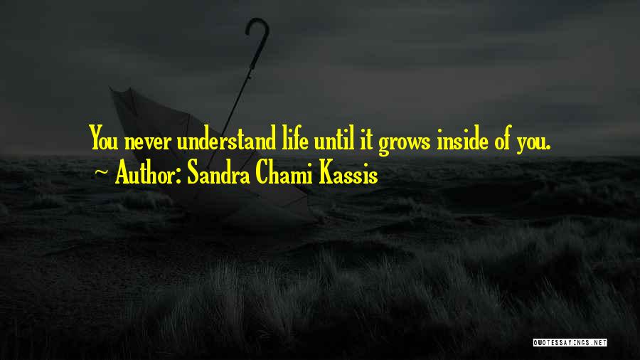 Sandra Chami Kassis Quotes: You Never Understand Life Until It Grows Inside Of You.