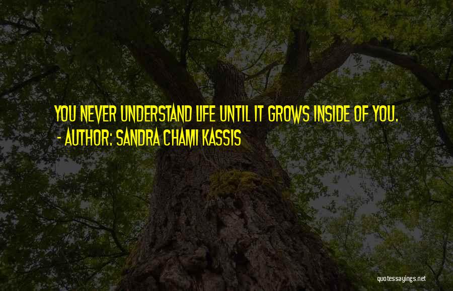 Sandra Chami Kassis Quotes: You Never Understand Life Until It Grows Inside Of You.