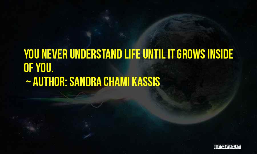 Sandra Chami Kassis Quotes: You Never Understand Life Until It Grows Inside Of You.