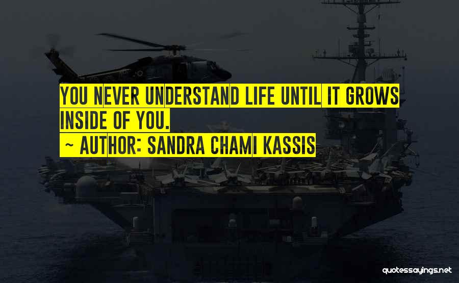 Sandra Chami Kassis Quotes: You Never Understand Life Until It Grows Inside Of You.