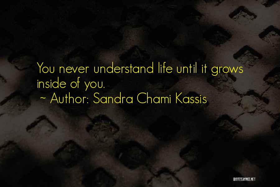 Sandra Chami Kassis Quotes: You Never Understand Life Until It Grows Inside Of You.