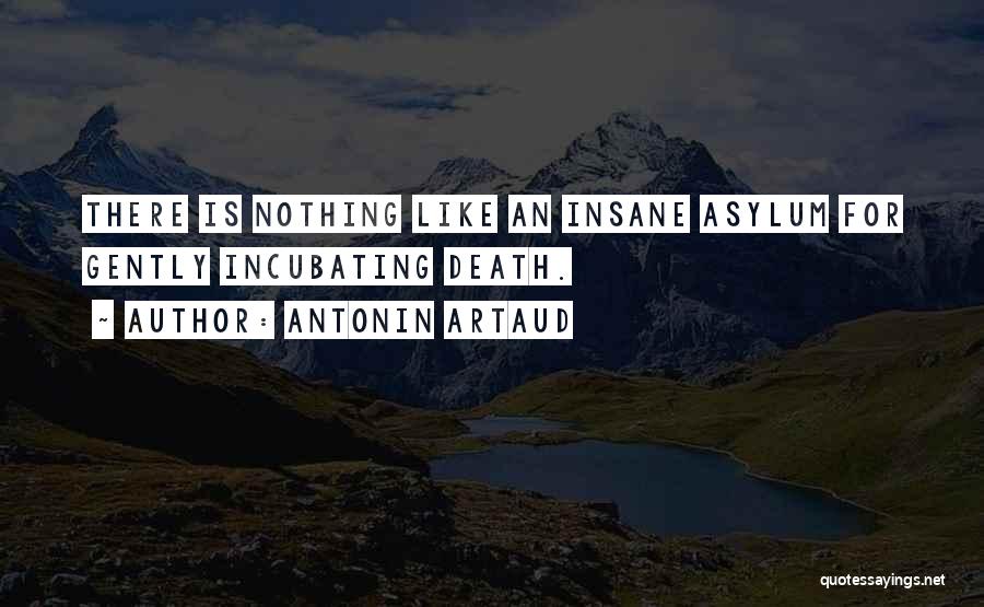 Antonin Artaud Quotes: There Is Nothing Like An Insane Asylum For Gently Incubating Death.