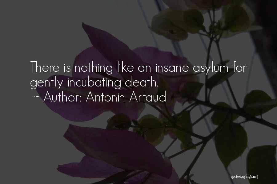 Antonin Artaud Quotes: There Is Nothing Like An Insane Asylum For Gently Incubating Death.