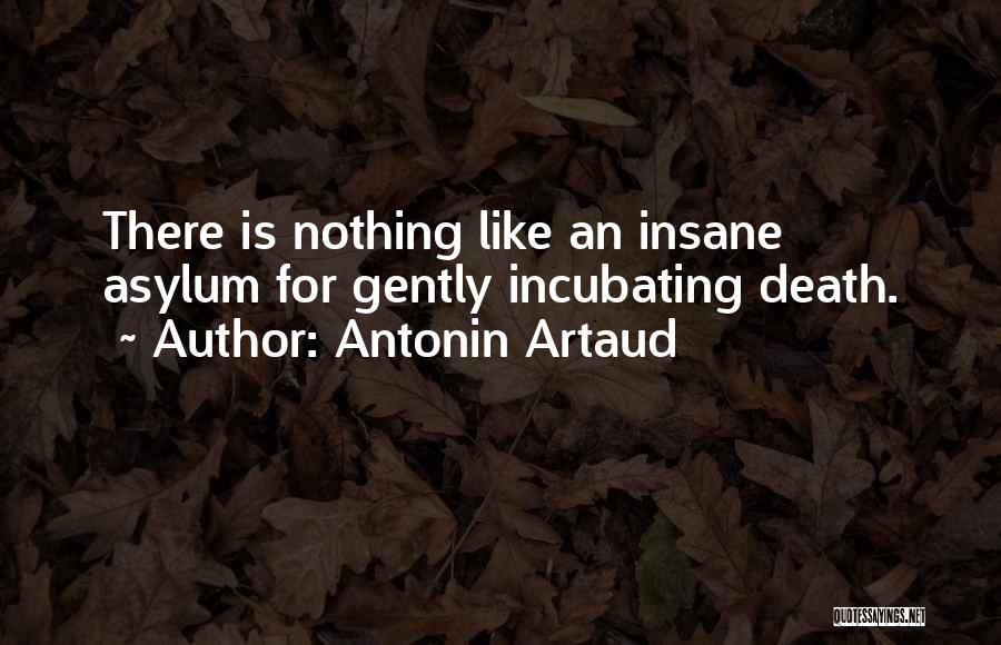 Antonin Artaud Quotes: There Is Nothing Like An Insane Asylum For Gently Incubating Death.