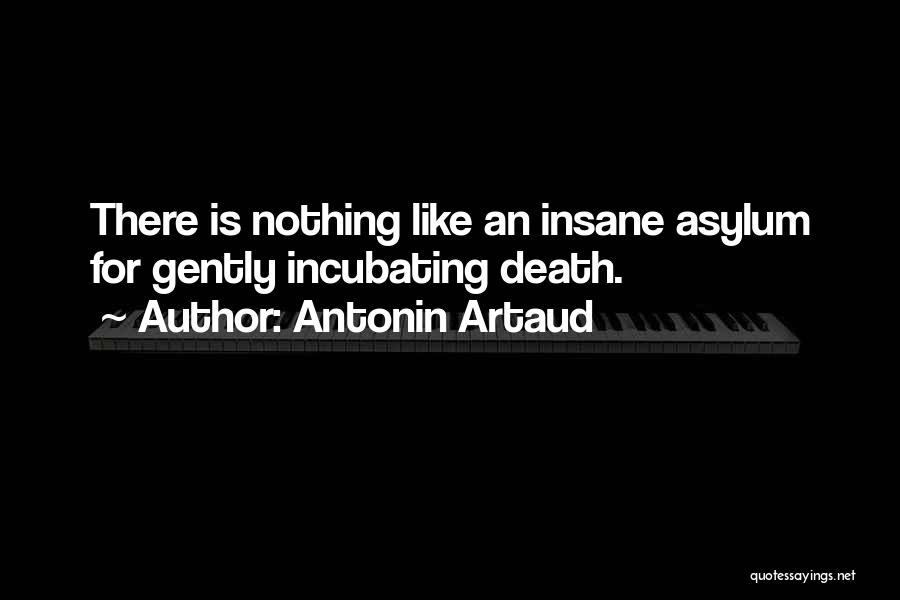 Antonin Artaud Quotes: There Is Nothing Like An Insane Asylum For Gently Incubating Death.