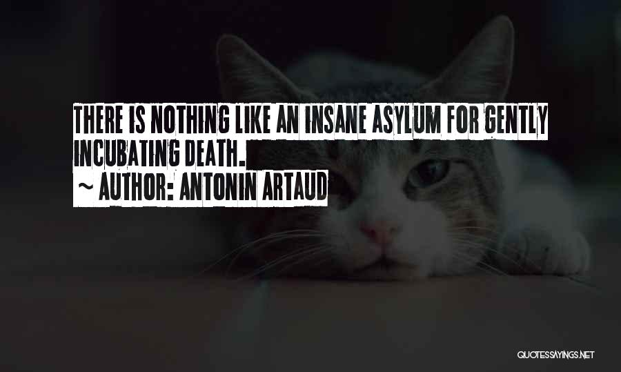 Antonin Artaud Quotes: There Is Nothing Like An Insane Asylum For Gently Incubating Death.