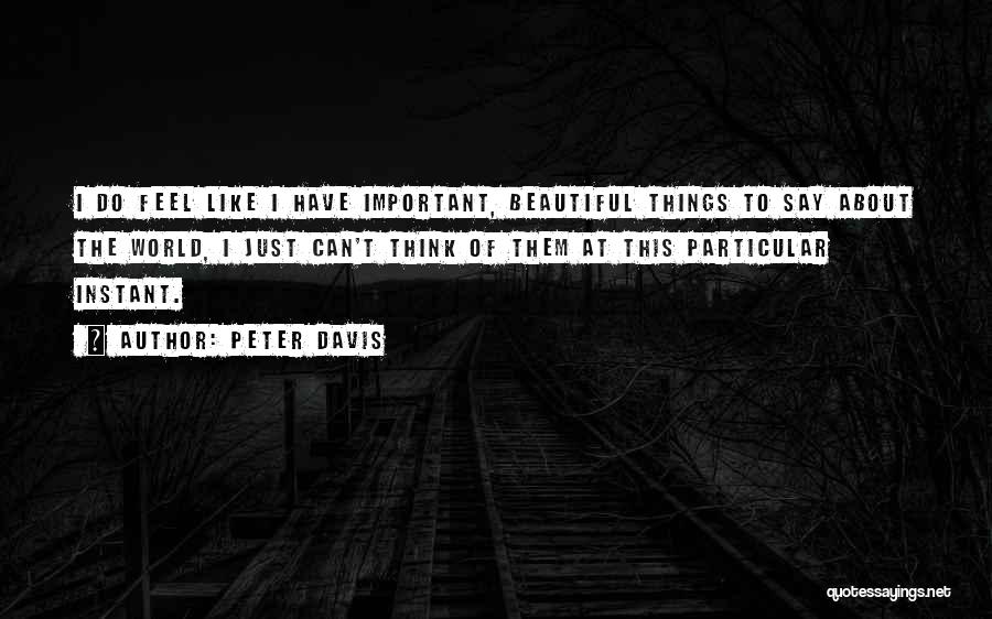 Peter Davis Quotes: I Do Feel Like I Have Important, Beautiful Things To Say About The World, I Just Can't Think Of Them