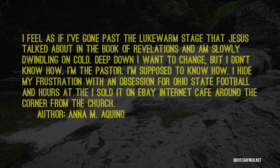 Anna M. Aquino Quotes: I Feel As If I've Gone Past The Lukewarm Stage That Jesus Talked About In The Book Of Revelations And