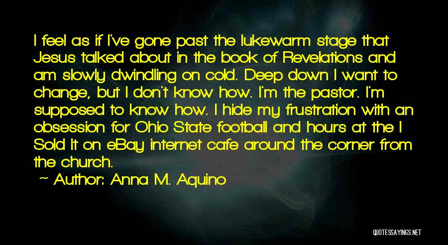 Anna M. Aquino Quotes: I Feel As If I've Gone Past The Lukewarm Stage That Jesus Talked About In The Book Of Revelations And